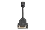 Skærmkabel - HP DisplayPort til DVI-D-kabel - FH973AA