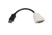 Skærmkabel - StarTech.com DisplayPort to DVI Video Converter - DP2DVI