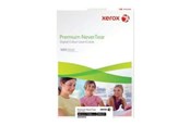 Papir, Fotopapir og Etiketter - Xerox Premium NeverTear - A4 | 262 g/m² | 100 sheets | Laser - 003R98092