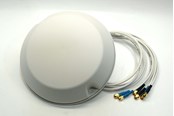 Antenne - Motorola Antenna - ML-2452-PTA6X6-036