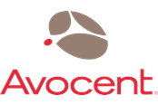 Service & support - Avocent Silver Maintenance and Support teknisk understøtning - SCNT-2YSLV-START