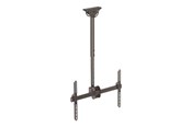 Vægbeslag, AV-Beslag & AV-Møbler - StarTech.com Ceiling TV Mount - Steel - For VESA Mount TVs 37in to 70in - Max 50 kg - recommended for 75" - FPCEILPTBSP