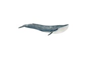 Schleich - Schleich Blåhval - 14806