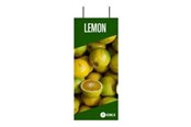 Konference & Præsentation - OKI FASTDISPLAY - 09006050