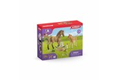 Schleich - Schleich Horse Club Sarahs pleje af baby dyr - 42432