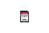 Hukommelseskort - Transcend 300S SD - 100MB/s - 256GB - TS256GSDC300S