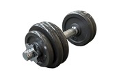 Sport & Fitness - TITAN LIFE LIFE 15 kg Adjustable Iron Dumbbell - 400-800082