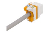 Netværkstilbehør - Deltaco MD-123 Cat6A Keystone jack toolless plastic white/orange - MD-123