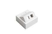 Udtag & bokse - Leviton Vægboks  (Brand-Rex) 2 X keystone hvid - E5100375