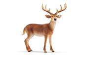 Schleich - Schleich Hvidhalet hjort - 14818