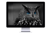 Skærm - Natec OWL - NFP-1478