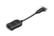 Skærmkabel - HP I DisplayPort to DVI-D Adapter - 484156-001