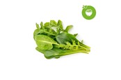Smart Home - Click & Grow Smart Garden Refill 9-pack Green Sallad Mix - PPMSAX9