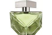 Parfume og dufte - Britney Spears Believe EDP - 100ml - 719346117722
