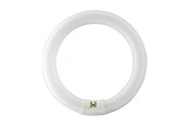 Lyskilder - Osram Fluorescerende pære LUMILUX T9 C 40W 4000K G10q - 1000112163