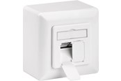 Tilbehør (Ophæng, fatninger, mv.) - Pro CAT 6a universal wall plate inc. on-wall mounting frame - 4040849685729