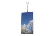Vægbeslag, AV-Beslag & AV-Møbler - HI-ND Ceiling Casing - mounting component - for digital signage LCD panel - Max - recommended for 55" - CC5512-5001-01