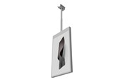 Vægbeslag, AV-Beslag & AV-Møbler - HI-ND Ceiling Casing - mounting component - for dual-sided LCD display - Max 50 kg - recommended for 55" - CC5519-5101-01