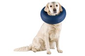 Hunde - Trixie Protective Collar Inflatable S 24-31cm - TX19542