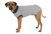 Hunde - Trixie Beskyttende restitutionsbody til hunde Størrelse: S-M Ryglængde: 40cm - TX19534