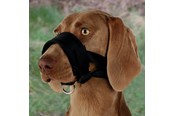 Hunde - Trixie Muzzle loop nylon M–L black - TX19281