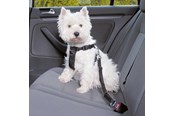Hunde - Trixie Car Harness Safety Belt XS 20-50cm/25 mm Stomach Circum 20-50cm - TX1288