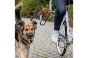 Hunde - Trixie Biker-Sæt til Sikker Hundecykling U-formet Størrelse M-XL - TX12860