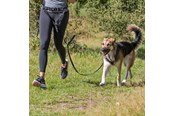 Hunde - Trixie Mavebælte med Line til Mellemstore og Store Hunde - TX12766