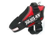 Hunde - Julius-K9 IDC-harness size 1 red 66-85 cm - H616564