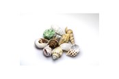 Fisk - Dohse Sea Shells Set M 10 pcs. - AT40222