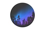 Mobil - Andet Tilbehør - PopSockets Aurora Woods - 804155