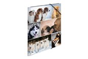 Mapper og Clipboards - HERMA 3-flap folder - for A4 - dogs - 19211