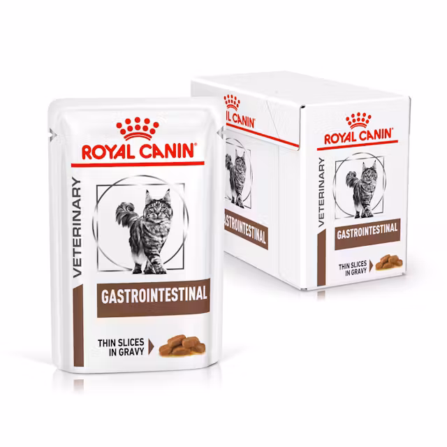Katte - Royal Canin Gastrointestinal Tynde Skiver i Sovs 85 g (12-pakke) - 9003579013557
