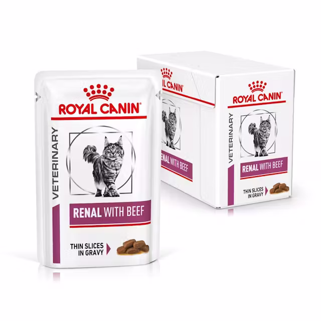 Katte - Royal Canin Renal with Beef Thin Slices In Gravy 85g (12-Pack) - 9003579000489