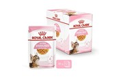 Katte - Royal Canin Kitten Sterilised Jelly 12 × 85 g - 9003579007167