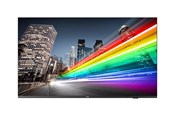 Digital skiltning & Hotel - Philips 50BFL2214 B-Line Professional Series - 50" LED-backlit LCD TV - 4K - for digital signage - 50BFL2214/12