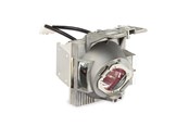 Projektorlampe - ViewSonic RLC-126 - projector lamp - RLC-126