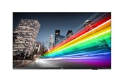 Digital skiltning & Hotel - Philips 43BFL2214 B-Line Professional Series - 43" LED-backlit LCD TV - 4K - for digital signage - 43BFL2214/12