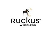 Kontorsoftware - Ruckus Wireless Ruckus FlexMaster - upgrade licence - up to 500 access points - 909-0500-FMEU