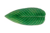 Køkkentilbehør - Costa Nova Serving dish oblong leaf Riviera 40 x 17 cm Green/Black - 22783