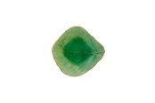 Køkkentilbehør - Costa Nova Mini bowl leaf Riviera 11 x 10 x 3 cm Green/Black Ceramic - 22686