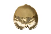 Borddækning - Costa Nova Plate water lily pad Riviera 18 x 17 cm Golden Ceramic - 22710
