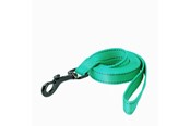 Hunde - Dogman Reflective Nylon Dog Leash Iris Turquoise XS 10mm 180cm - 223112