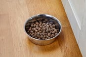 Hunde - Dogman Heavy Madskål i Rustfrit Stål Metal 800ml - 369629