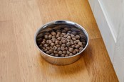 Hunde - Dogman Heavy Madskål i Rustfrit Stål Metal 450ml - 369627