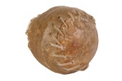Hunde - Trixie Chew ball 8cm - TX2673