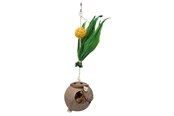 Fuglelegetøj - Trixie Coconut on sisal rope 35 cm - TX58920