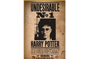 Puslespil - Thumbs Up! Harry Potter "Wanted No. 1" Puzzle - 8435450255397