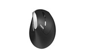 Mus - RAPOO EV250 - Ergonomisk mus - Optisk / gyroskopisk - 6 knapper - Sort - 13531