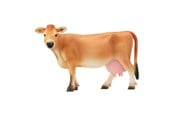 Schleich - Schleich Jersey-ko - 13967